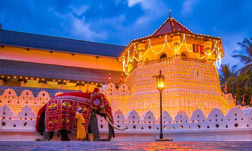 Kandy City Tour  - The Sri Lanka Tours - thesrilankatours.com